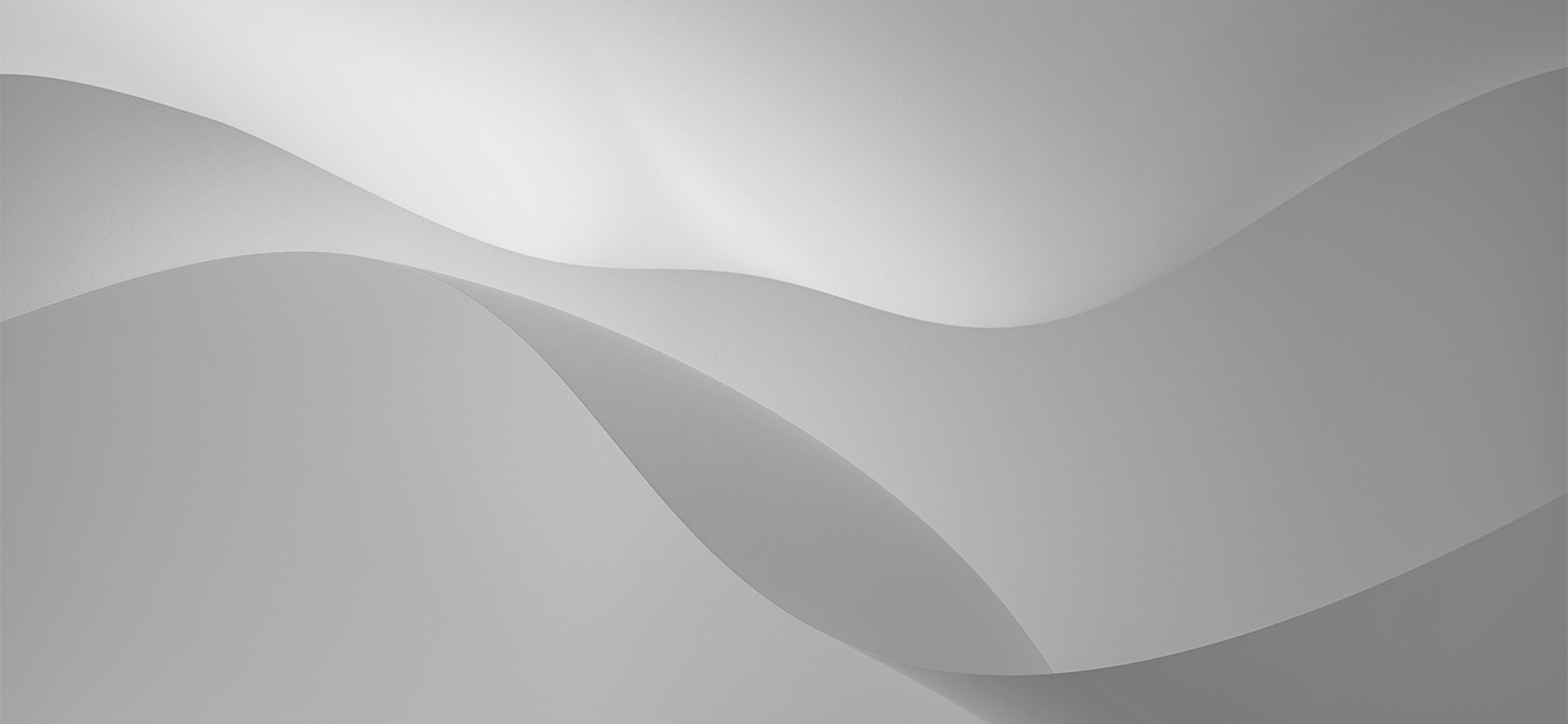 鈴木造園の画像