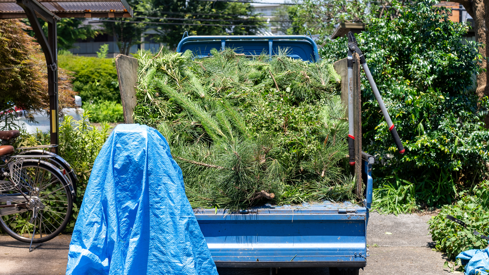 あなたの「今すぐ」に応える年中無休営業の写真