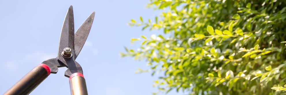 鈴木造園の画像