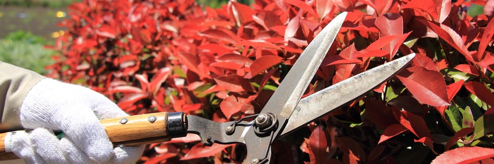 鈴木造園の画像