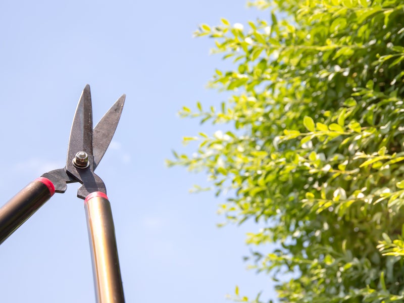 鈴木造園の画像